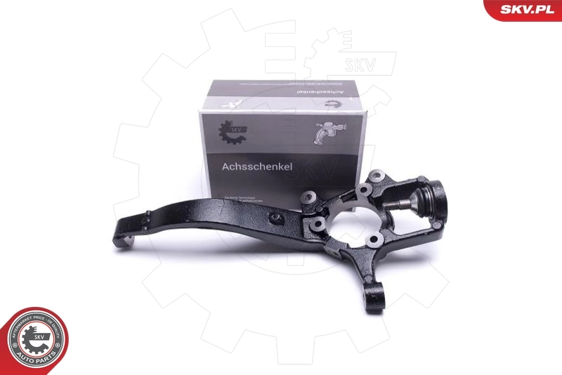 Steering Knuckle, wheel suspension